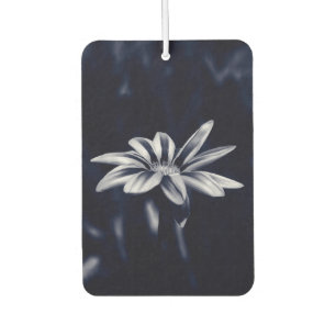 gazania car air freshener
