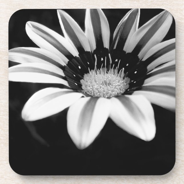 Gazania Coaster (Front)