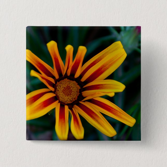 Gazania flower 15 cm square badge (Front)