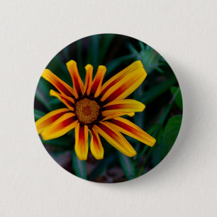 Gazania flower 6 cm round badge