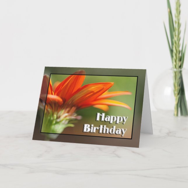 Gazania Happy Birthday Card (Front)