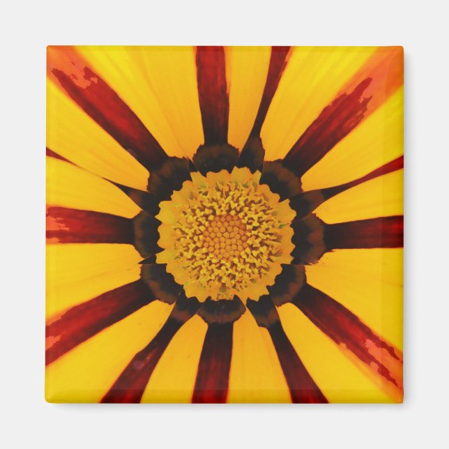 Gazania Magnet (Front)