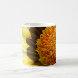 Gazania Mug