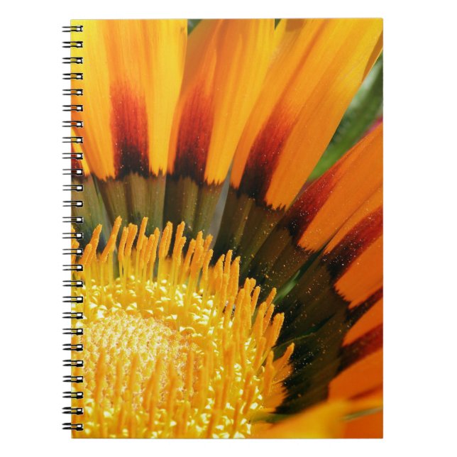 Gazania Notebook (Front)