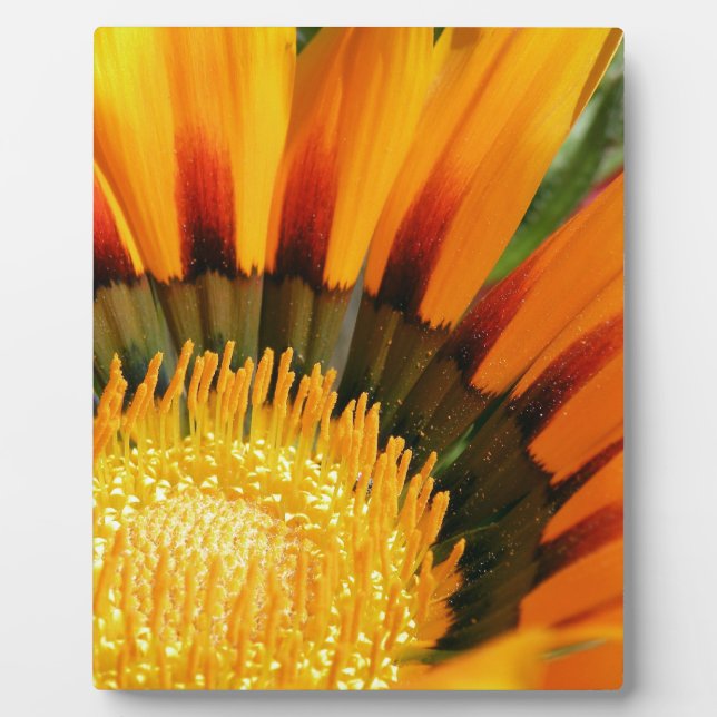 Gazania Plaque (Front)