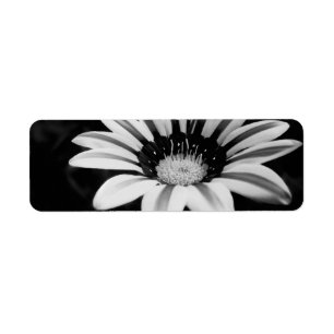 GAZANIA RETURN ADDRESS LABEL