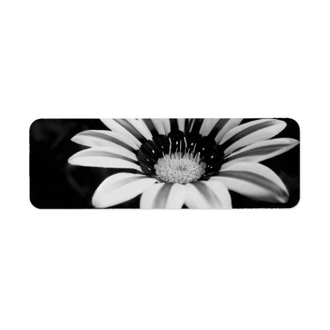 GAZANIA RETURN ADDRESS LABEL (Front)