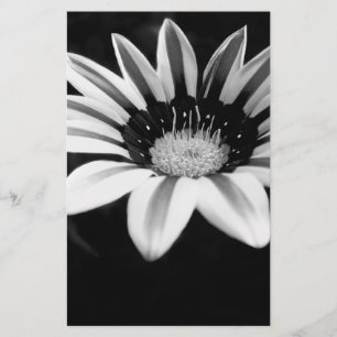 Gazania Stationery