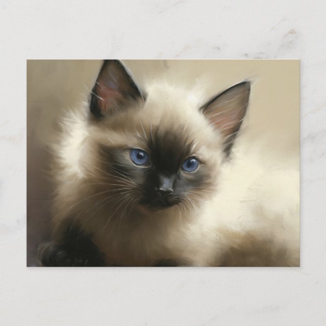 Gaze Of Innocence Siamese Kitten Portrait Postcard (Front)