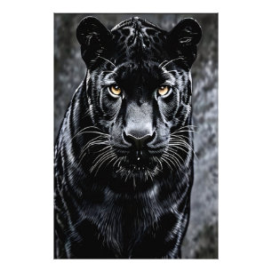 Gaze of the Shadow Photo Print