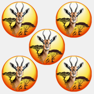 Gazelle African Antelope Wild Animal