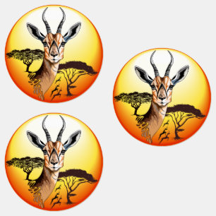 Gazelle African Antelope Wild Animal