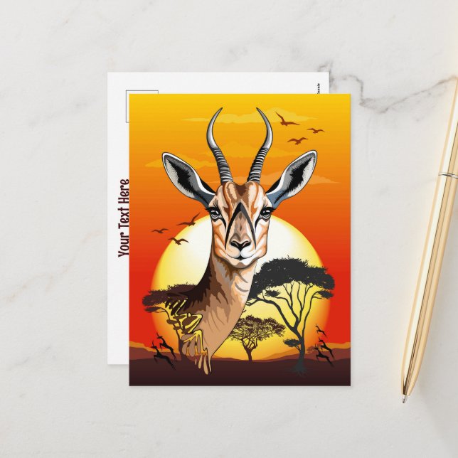 Gazelle African Antelope Wild  Animal Holiday Postcard (Front/Back In Situ)
