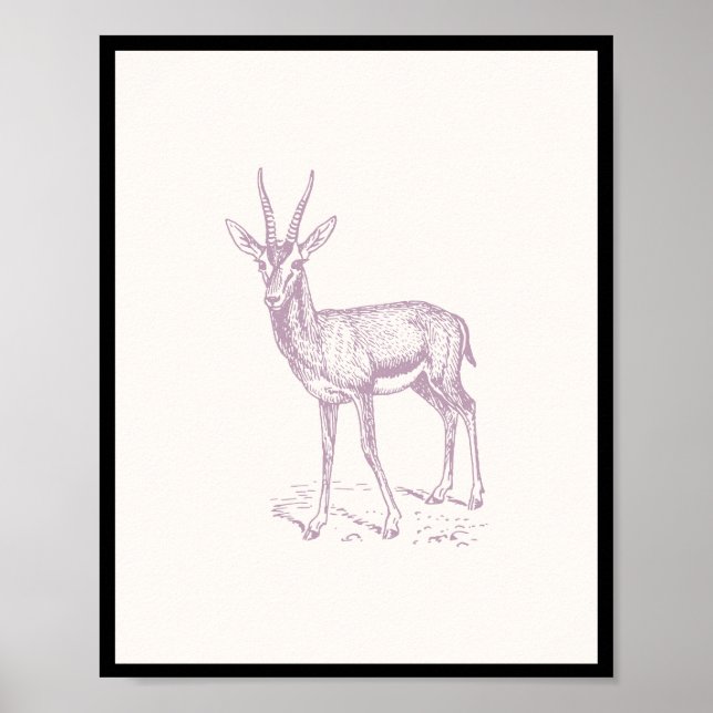 Gazelle Deer Poster (Front)