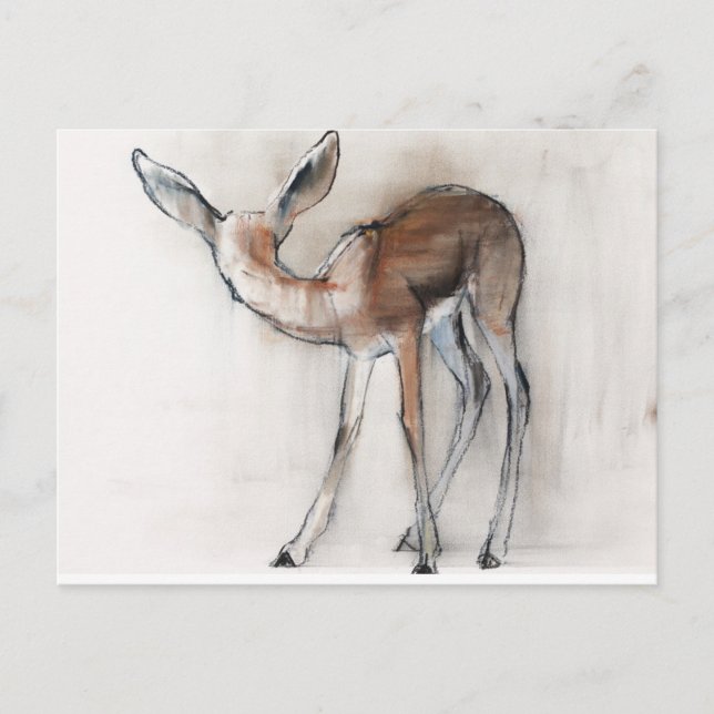 Gazelle Fawn Postcard (Front)