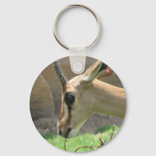 Gazelle Keychain