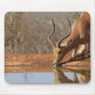 Gazelle Mouse Pad