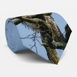 Gazing at a Majestic Peregrine Falcon Tie