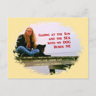 Gazing At The Sun Postcard