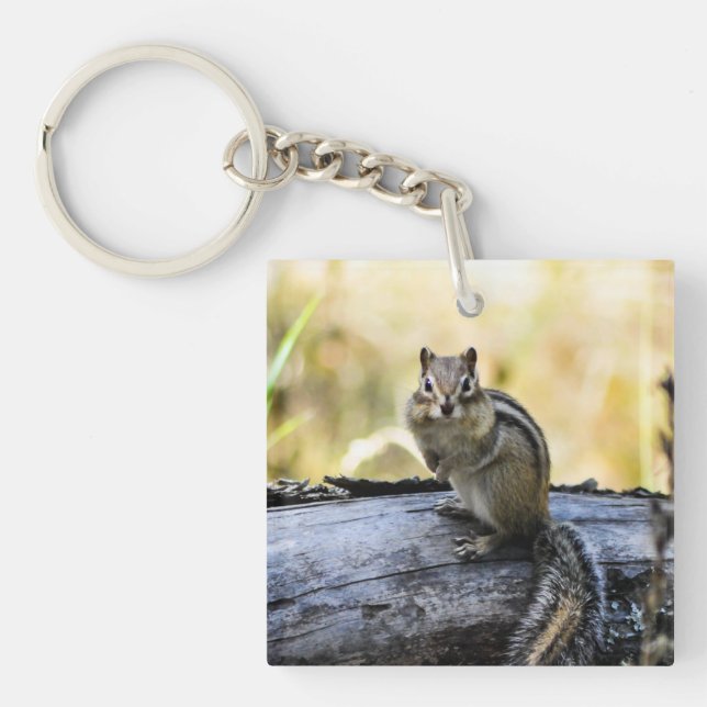 Gazing Chipmunk Key Ring (Front)