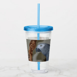 Gazing Congo African Grey Parrot Acrylic Tumbler