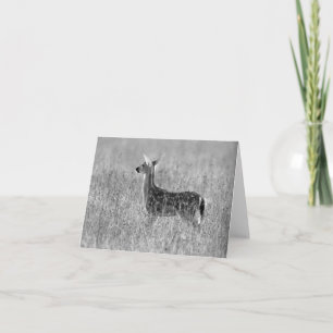 Gazing Fawn Card