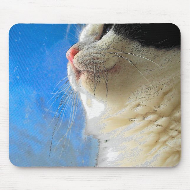 Gazing Out the Window Mouse Pad (Front)