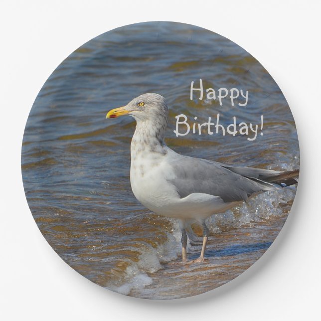 Gazing Seagull Paper Plate (Front)