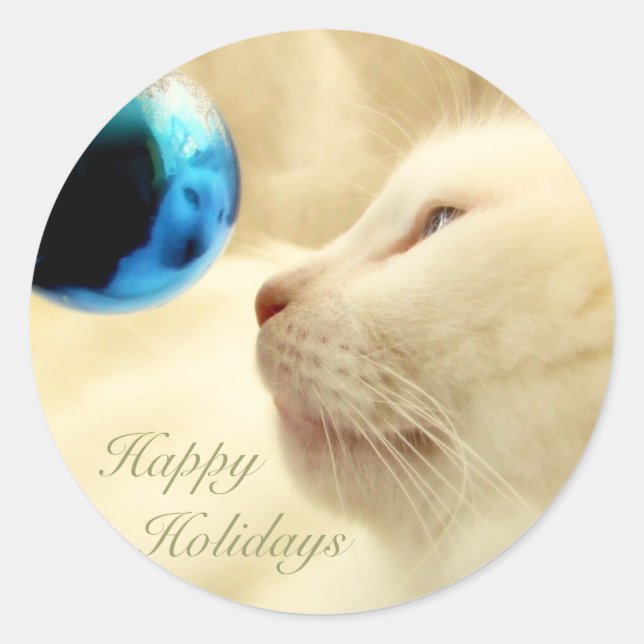 Gazing Upon A Blue Star Classic Round Sticker (Front)