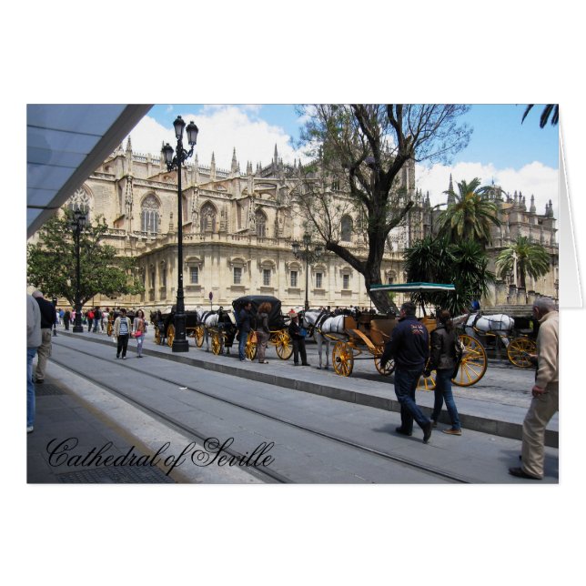 gc/n (Front Horizontal)