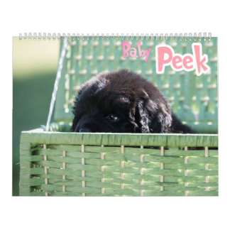 GCH Notta Bears Piqued My Interest Calendar