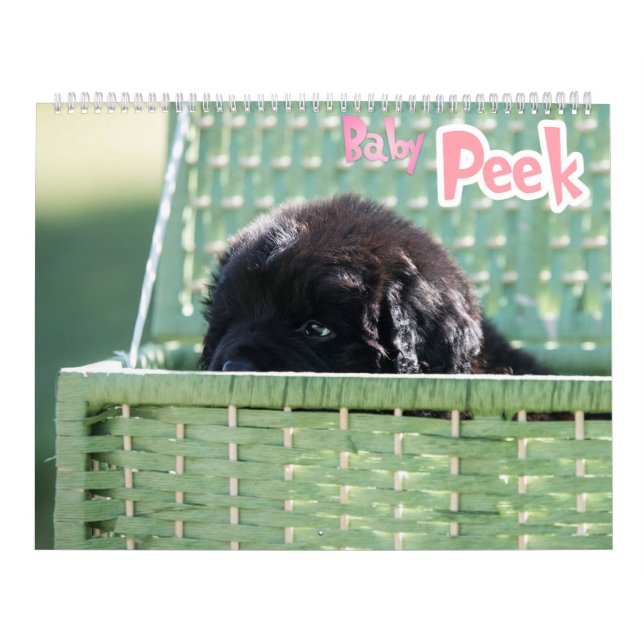 GCH Notta Bears Piqued My Interest Calendar (Cover)