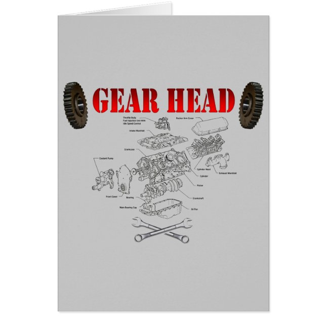 GEAR HEAD (Front)