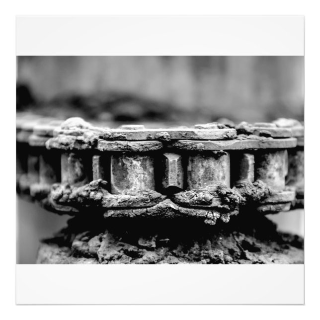Geared  photo print (Front)