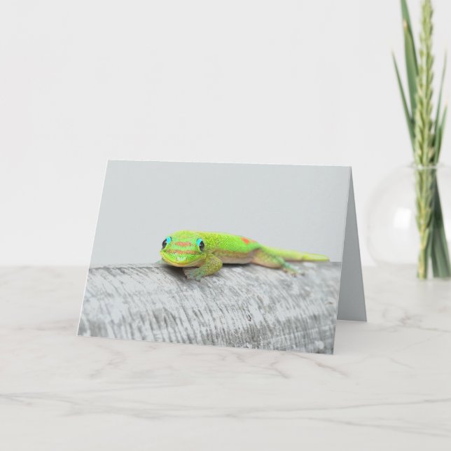 Gecko all occasion greeting card (Front)