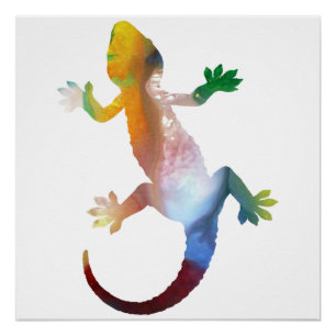 Gecko art poster