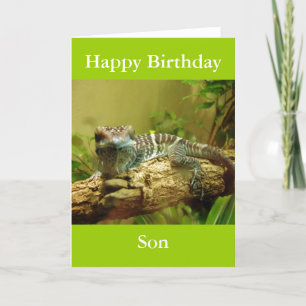 Gecko Birthday Card