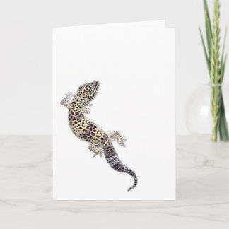 Gecko Card 01