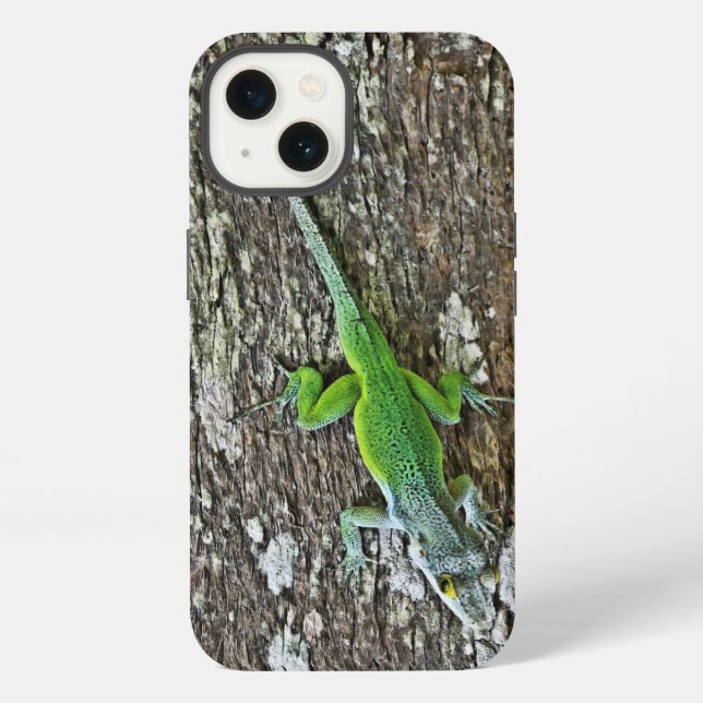 Gecko case (Back)