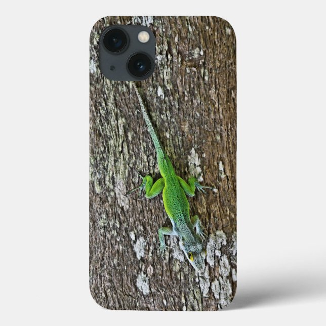 Gecko case (Back)