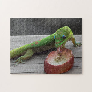 Gecko Eating Grapes Jigsaw Puzzle