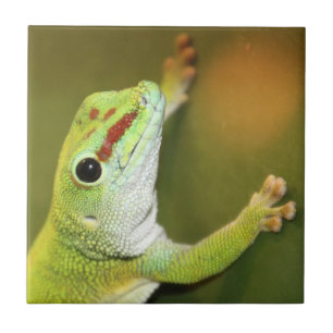 Gecko face ceramic tile