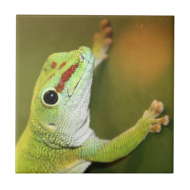 Gecko face ceramic tile (Front)