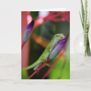 Gecko Greeting Card