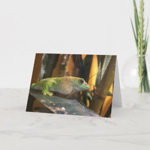 gecko greeting card