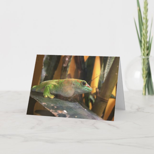 gecko greeting card (Front)