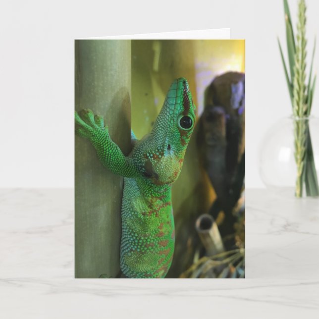 gecko greeting card #2 (encouragement) (Front)