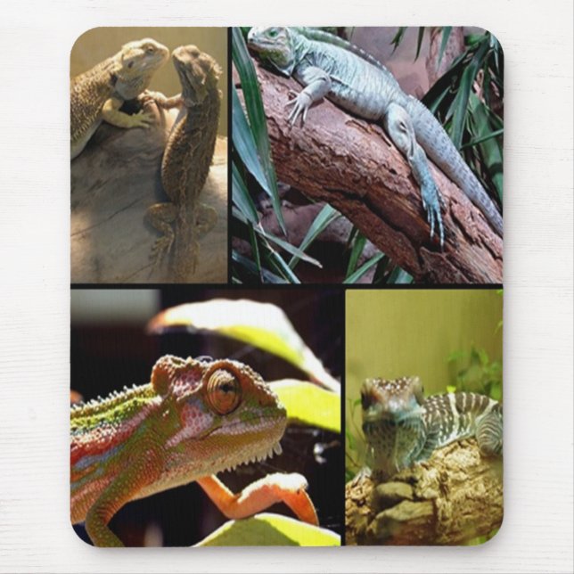 Gecko lizards and Chameleons Mouse Pad (Front)