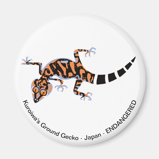 Gecko - magnet (Front)