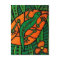 Gecko Orange And Green